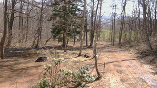 長野県菅平高原 ゆたか山荘 坂上 2026/04/03 09:45