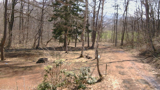 長野県菅平高原 ゆたか山荘 坂上 2026/04/03 10:00