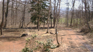 長野県菅平高原 ゆたか山荘 坂上 2026/04/03 10:15