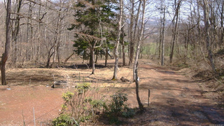 長野県菅平高原 ゆたか山荘 坂上 2026/04/03 12:00