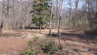 長野県菅平高原 ゆたか山荘 坂上 2026/04/03 13:15