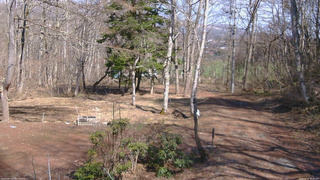 長野県菅平高原 ゆたか山荘 坂上 2026/04/03 14:00