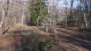 長野県菅平高原 ゆたか山荘 坂上 2026/04/03 15:30