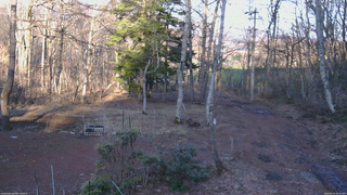 長野県菅平高原 ゆたか山荘 坂上 2026/04/03 16:45