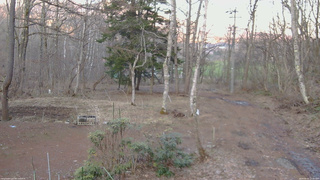長野県菅平高原 ゆたか山荘 坂上 2026/04/03 17:45