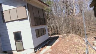 長野県菅平高原 ゆたか山荘 坂下 2026/04/03 12:00