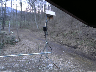 長野県菅平高原 ゆたか山荘 南側 2026/04/04 05:30