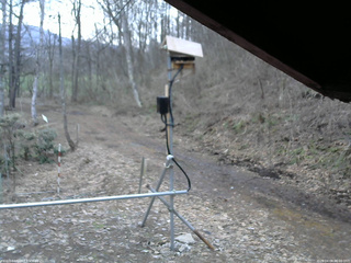 長野県菅平高原 ゆたか山荘 南側 2026/04/04 06:00