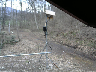 長野県菅平高原 ゆたか山荘 南側 2026/04/04 06:30