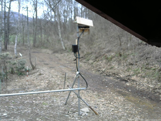 長野県菅平高原 ゆたか山荘 南側 2026/04/04 14:45