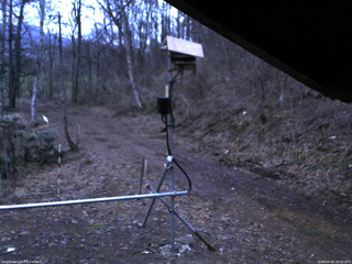 長野県菅平高原 ゆたか山荘 南側 2026/04/04 18:15