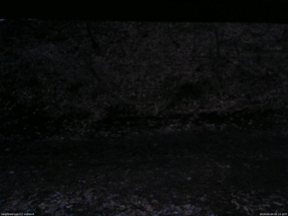 長野県菅平高原 ゆたか山荘 東側(坂下) 2026/04/04 05:15