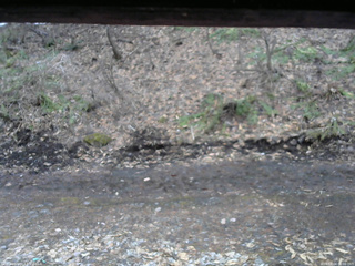 長野県菅平高原 ゆたか山荘 東側(坂下) 2026/04/04 06:00