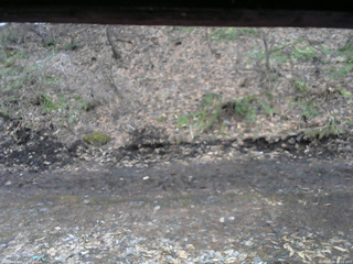 長野県菅平高原 ゆたか山荘 東側(坂下) 2026/04/04 06:15