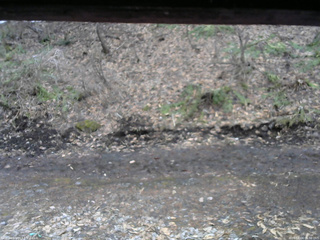 長野県菅平高原 ゆたか山荘 東側(坂下) 2026/04/04 06:30