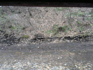 長野県菅平高原 ゆたか山荘 東側(坂下) 2026/04/04 06:45