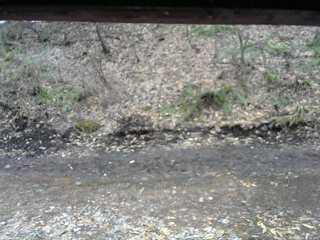 長野県菅平高原 ゆたか山荘 東側(坂下) 2026/04/04 07:15