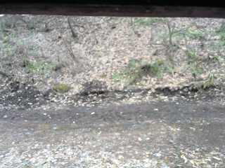 長野県菅平高原 ゆたか山荘 東側(坂下) 2026/04/04 08:00