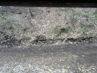 長野県菅平高原 ゆたか山荘 東側(坂下) 2026/04/04 08:30