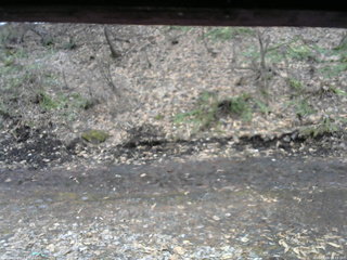 長野県菅平高原 ゆたか山荘 東側(坂下) 2026/04/04 09:15