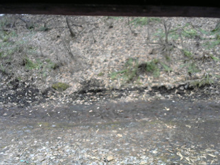 長野県菅平高原 ゆたか山荘 東側(坂下) 2026/04/04 10:15