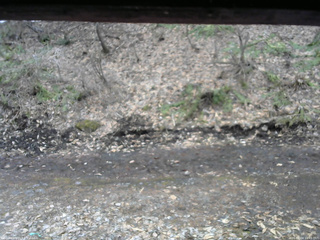 長野県菅平高原 ゆたか山荘 東側(坂下) 2026/04/04 10:45