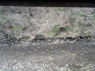 長野県菅平高原 ゆたか山荘 東側(坂下) 2026/04/04 11:00