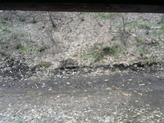 長野県菅平高原 ゆたか山荘 東側(坂下) 2026/04/04 12:45