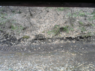 長野県菅平高原 ゆたか山荘 東側(坂下) 2026/04/04 13:00