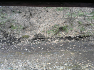 長野県菅平高原 ゆたか山荘 東側(坂下) 2026/04/04 13:30