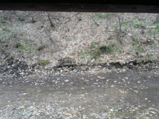 長野県菅平高原 ゆたか山荘 東側(坂下) 2026/04/04 13:45