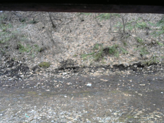 長野県菅平高原 ゆたか山荘 東側(坂下) 2026/04/04 14:15