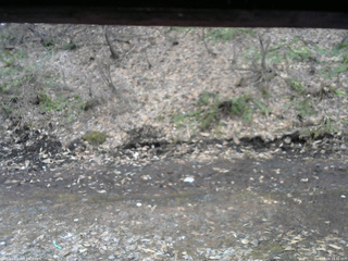 長野県菅平高原 ゆたか山荘 東側(坂下) 2026/04/04 14:30