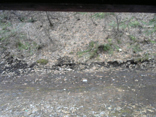 長野県菅平高原 ゆたか山荘 東側(坂下) 2026/04/04 15:15