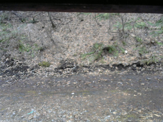 長野県菅平高原 ゆたか山荘 東側(坂下) 2026/04/04 15:45