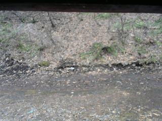 長野県菅平高原 ゆたか山荘 東側(坂下) 2026/04/04 16:00