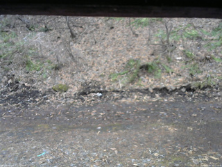 長野県菅平高原 ゆたか山荘 東側(坂下) 2026/04/04 16:15