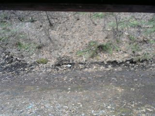 長野県菅平高原 ゆたか山荘 東側(坂下) 2026/04/04 16:30