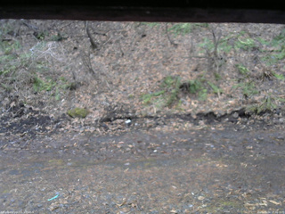 長野県菅平高原 ゆたか山荘 東側(坂下) 2026/04/04 17:30