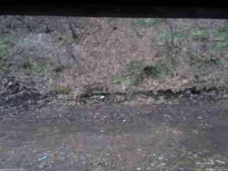 長野県菅平高原 ゆたか山荘 東側(坂下) 2026/04/04 18:00