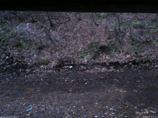 長野県菅平高原 ゆたか山荘 東側(坂下) 2026/04/04 18:15