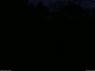 長野県菅平高原 ゆたか山荘 西側(坂上) 2026/04/04 05:00