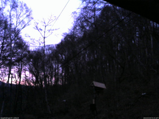 長野県菅平高原 ゆたか山荘 温度計 2026/04/04 05:15