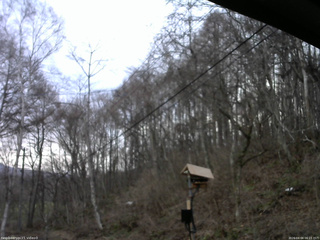 長野県菅平高原 ゆたか山荘 温度計 2026/04/04 06:15