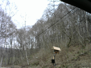 長野県菅平高原 ゆたか山荘 温度計 2026/04/04 11:45