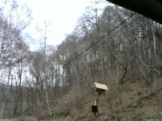 長野県菅平高原 ゆたか山荘 温度計 2026/04/04 12:45