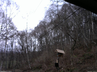 長野県菅平高原 ゆたか山荘 温度計 2026/04/04 17:45