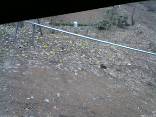 長野県菅平高原 ゆたか山荘 駐車場 2026/04/04 05:45