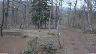 長野県菅平高原 ゆたか山荘 坂上 2026/04/04 18:15