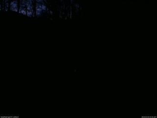 長野県菅平高原 ゆたか山荘 南側 2026/04/05 05:00